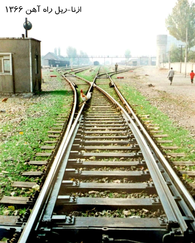 Ein Vogel sitzt auf einem Bahngleis umgeben von Gras und Steinen, mit Menschen in der Nähe, Bäumen, Pfählen, Gebäuden und dem Himmel im Hintergrund und Text oben auf dem Bild.