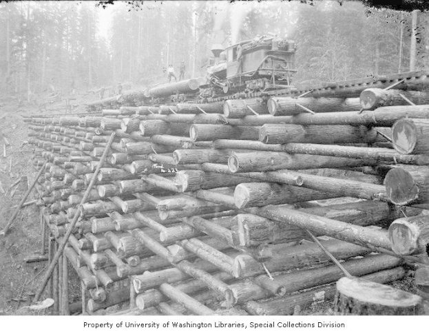 Schwarzes und weißes Foto eines Holzfällerlaster, der neben einem Holzstapel in einem bewaldeten Gebiet geparkt ist, mit mehreren Menschen auf den Holzstämmen und Bäumen im Hintergrund.