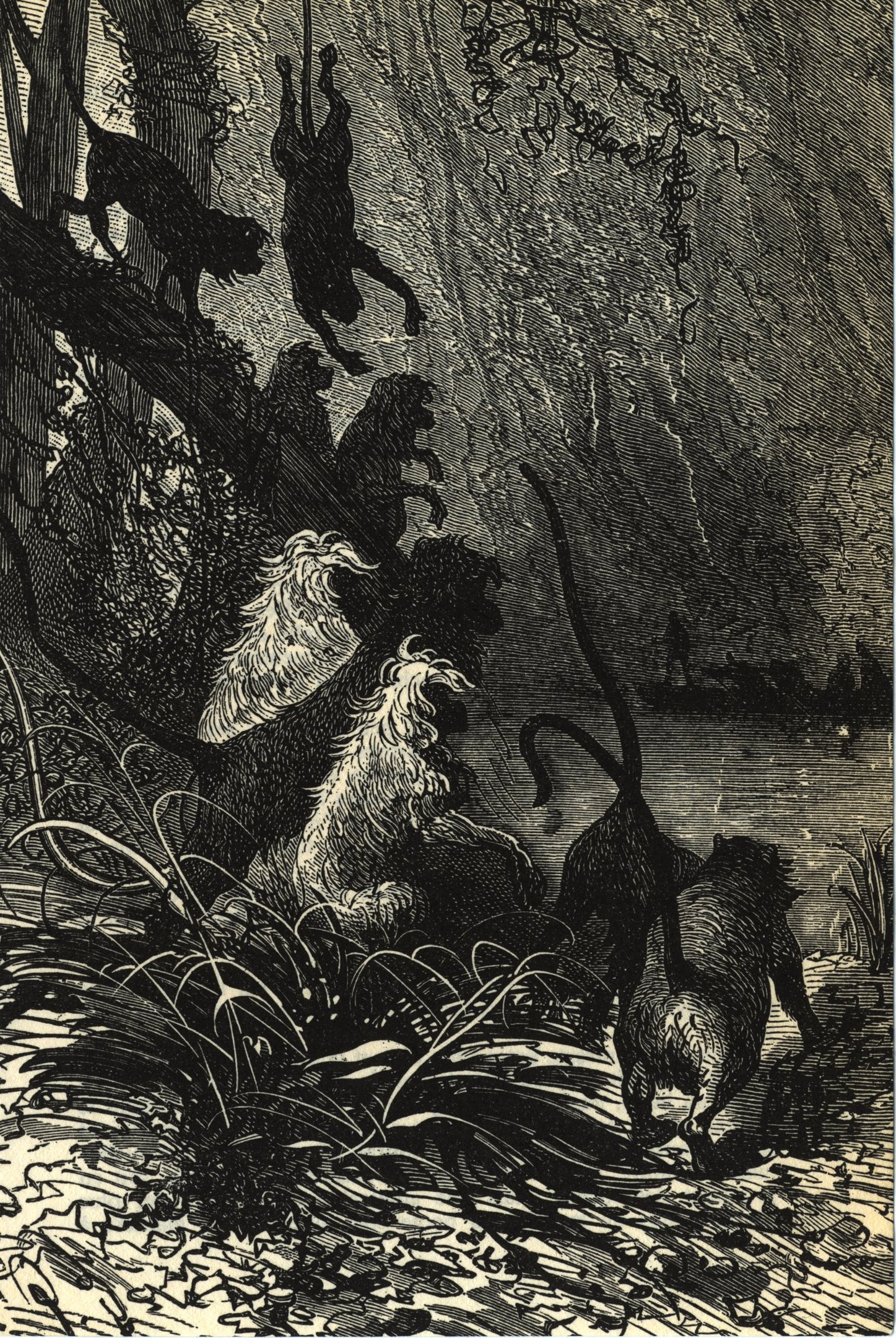 Schwarze und weiße Illustration einer Gruppe von Löwen in einer Dschungelumgebung mit üppiger Vegetation und Bäumen, die den Text 'Der Löwenkönig' unten zeigt.