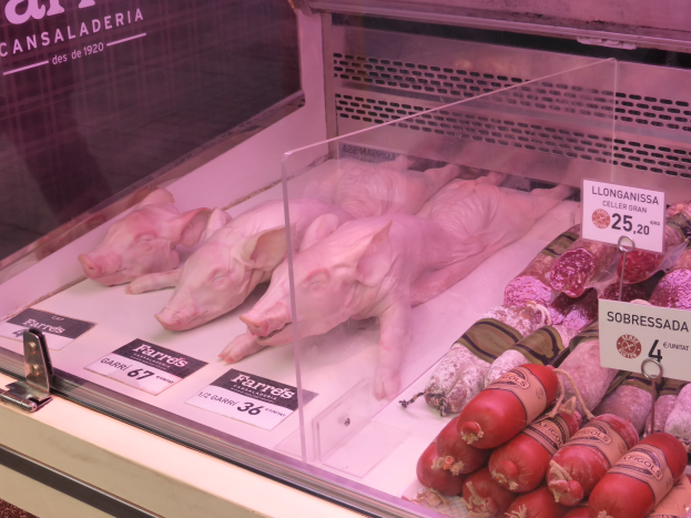 Vitrine gefüllt mit verschiedenen Schweinefleisch- und Wurstsorten, jeweils mit Preisschildern am Glas befestigt.