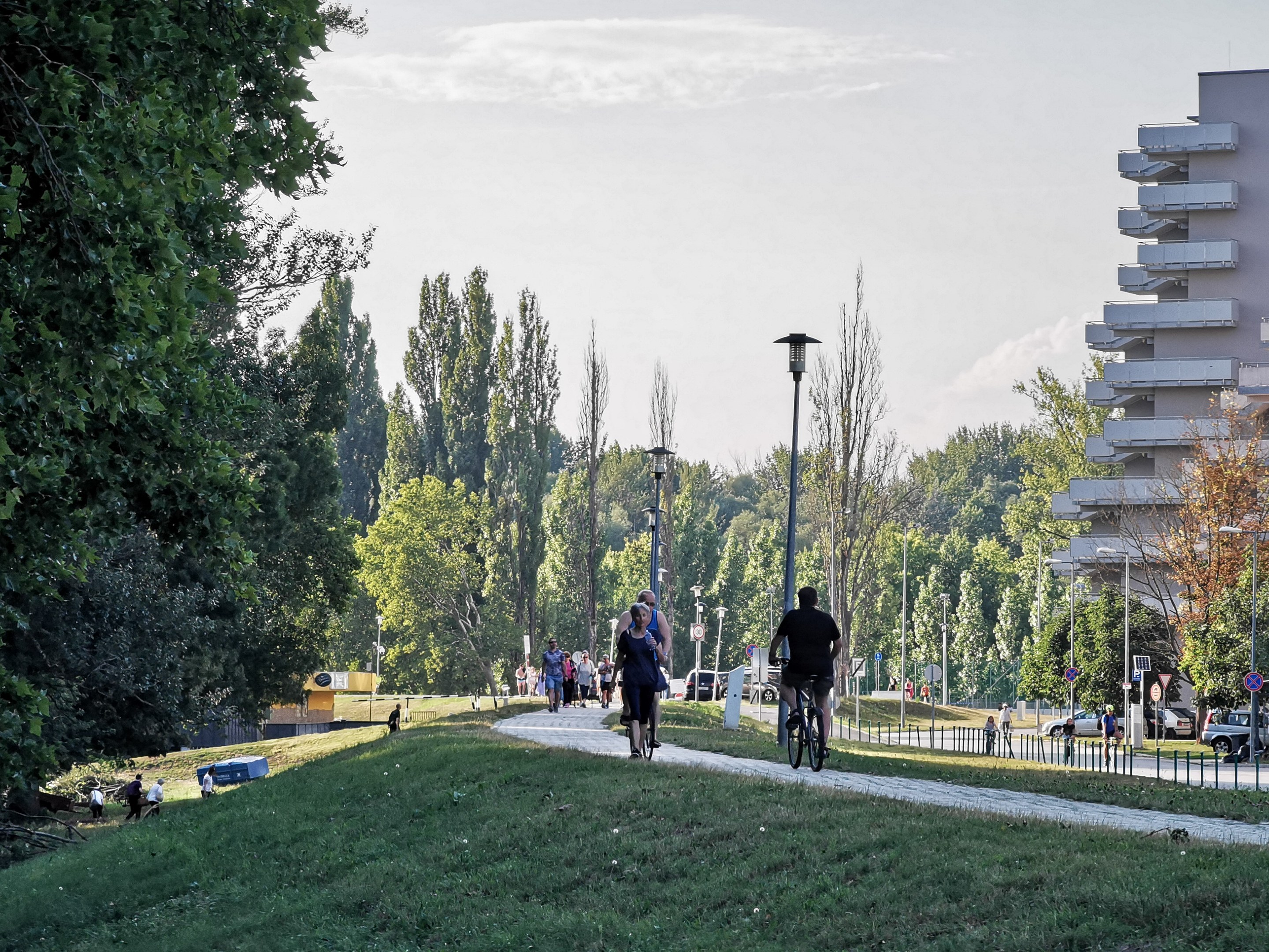 Gruppe von Menschen, die auf Fahrrädern eine Parkwegstrecke mit Gras, Bäumen, Straßenmasten, Straßenlaternen, Schildern, Kraftfahrzeugen, Absperrpoller, Gebäuden und bewölktem Himmel im Hintergrund fahren.