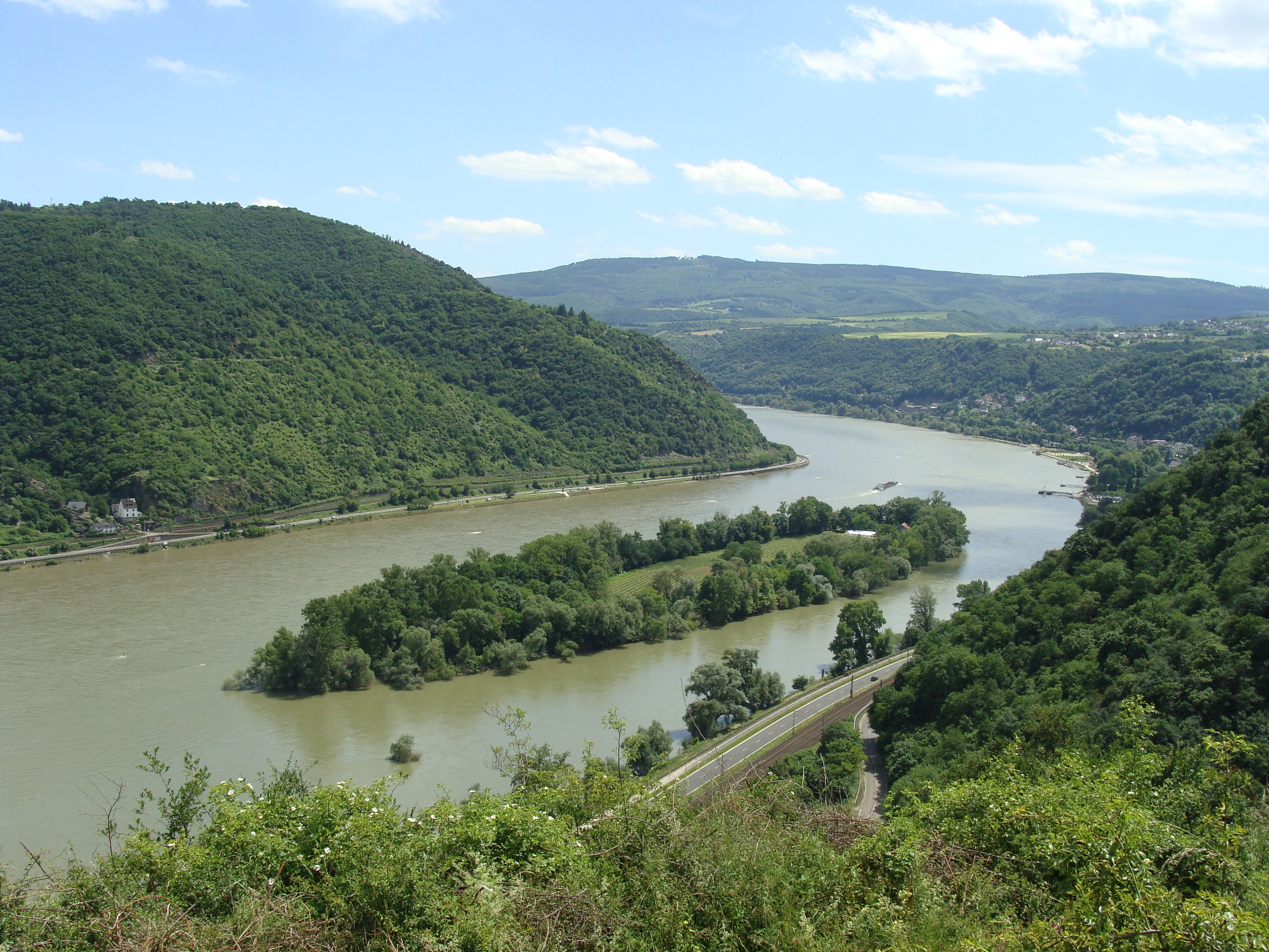 Luftaufnahme des sich durch eine grüne Landschaft schlängelnden Rheins mit einer Straße daneben, unter einem teilweise bewölkten Himmel.