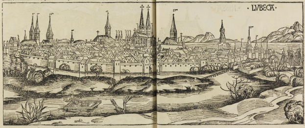 Offenes Buch mit einer detaillierten Illustration aus dem 16. Jahrhundert von Lwiw, Ukraine, das Gebäude, Bäume, Pflanzen, Wasser und Text auf den Seiten zeigt.