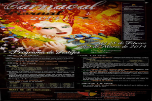 Eine Frau in einem bunten Kleid, die fröhlich in die Mitte eines leuchtend gelben Plakats schaut, umgeben von fetter schwarzer Schrift, die "Carnaval Festival 2014" liest.