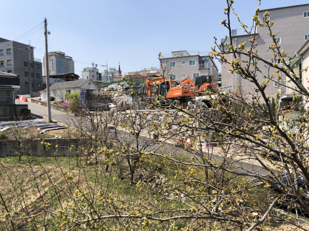Eine Baustelle mit einem zentralen Baum, umgeben von Gebäuden, Fahrzeugen auf der Straße, Strommasten mit Kabeln und einem Himmel im Hintergrund.