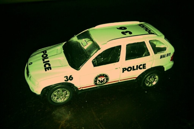 Ein Polizeifahrzeug steht auf einer Straße.