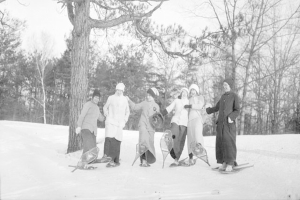 Sechs Frauen auf Snowboards, Skifahren auf einer schneebedeckten Piste mit Bäumen im Hintergrund.