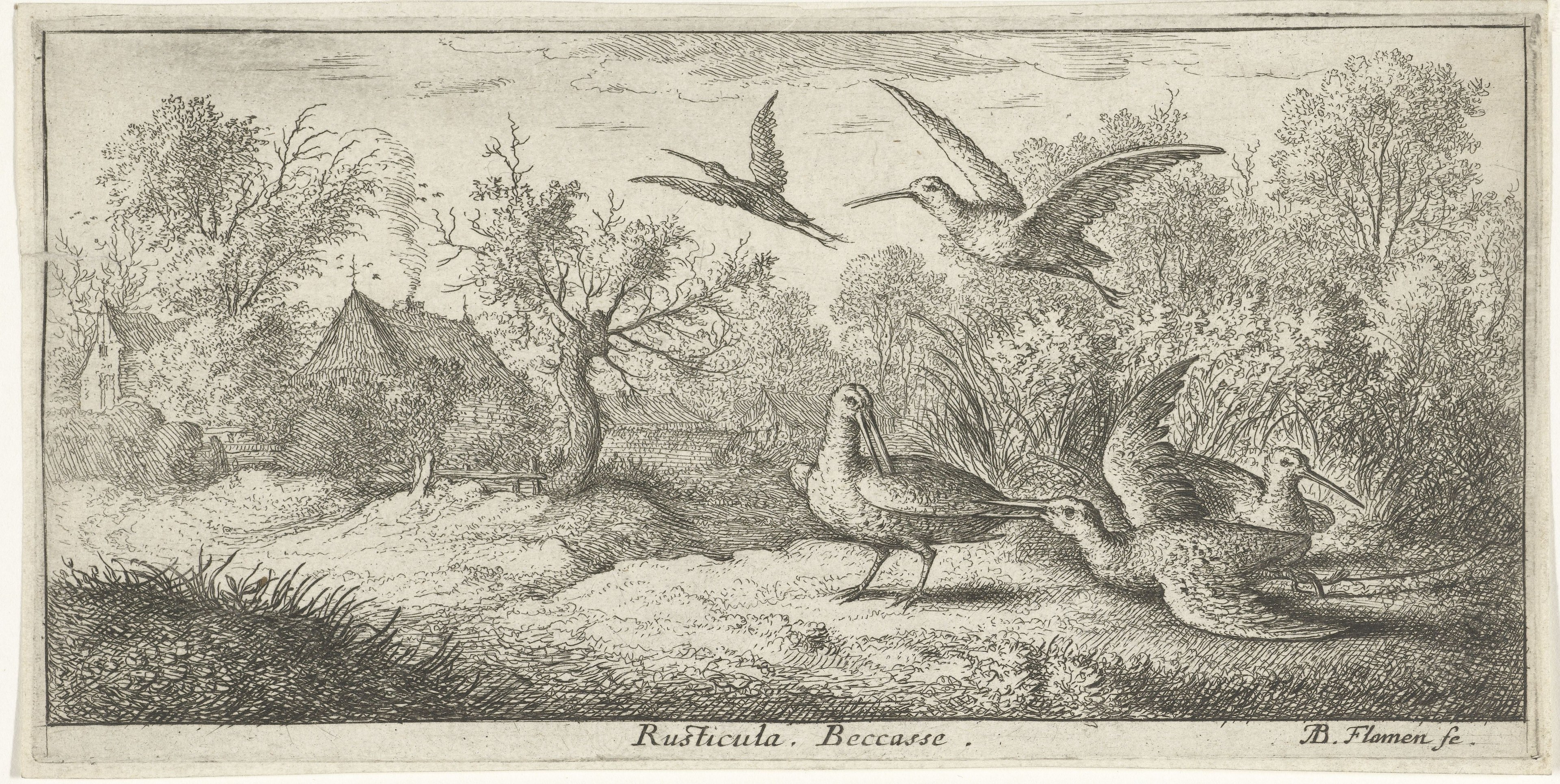 Eine bewaldete Landschaft mit Vögeln, die über Bäume, Pflanzen, Gras und Häuser fliegen, mit Text unten.