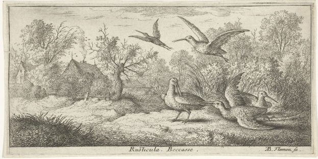 Eine bewaldete Landschaft mit Vögeln, die über Bäume, Pflanzen, Gras und Häuser fliegen, mit Text unten.