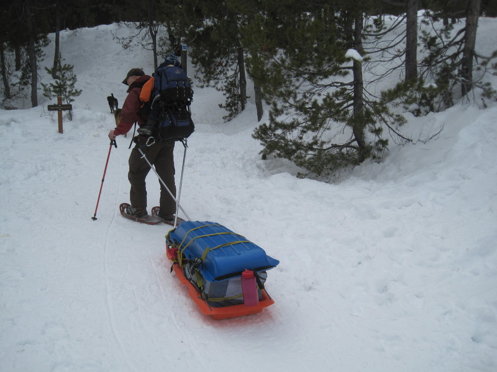 Ein Mann mit einer Tasche, möglicherweise mit Gepäck, steht auf einem schneebedeckten Boden mit Bäumen im Hintergrund.